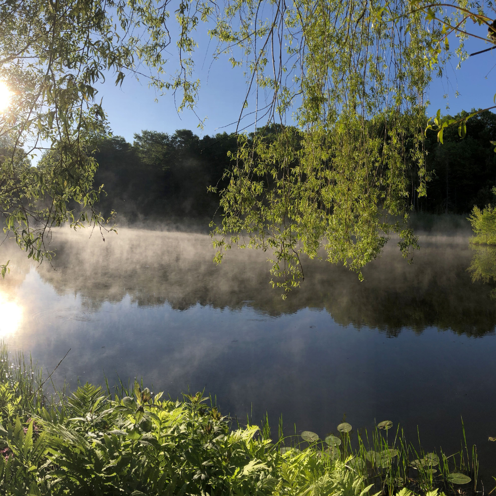 Nuitée et massage pour 2 personnes - Domaine Jolivent