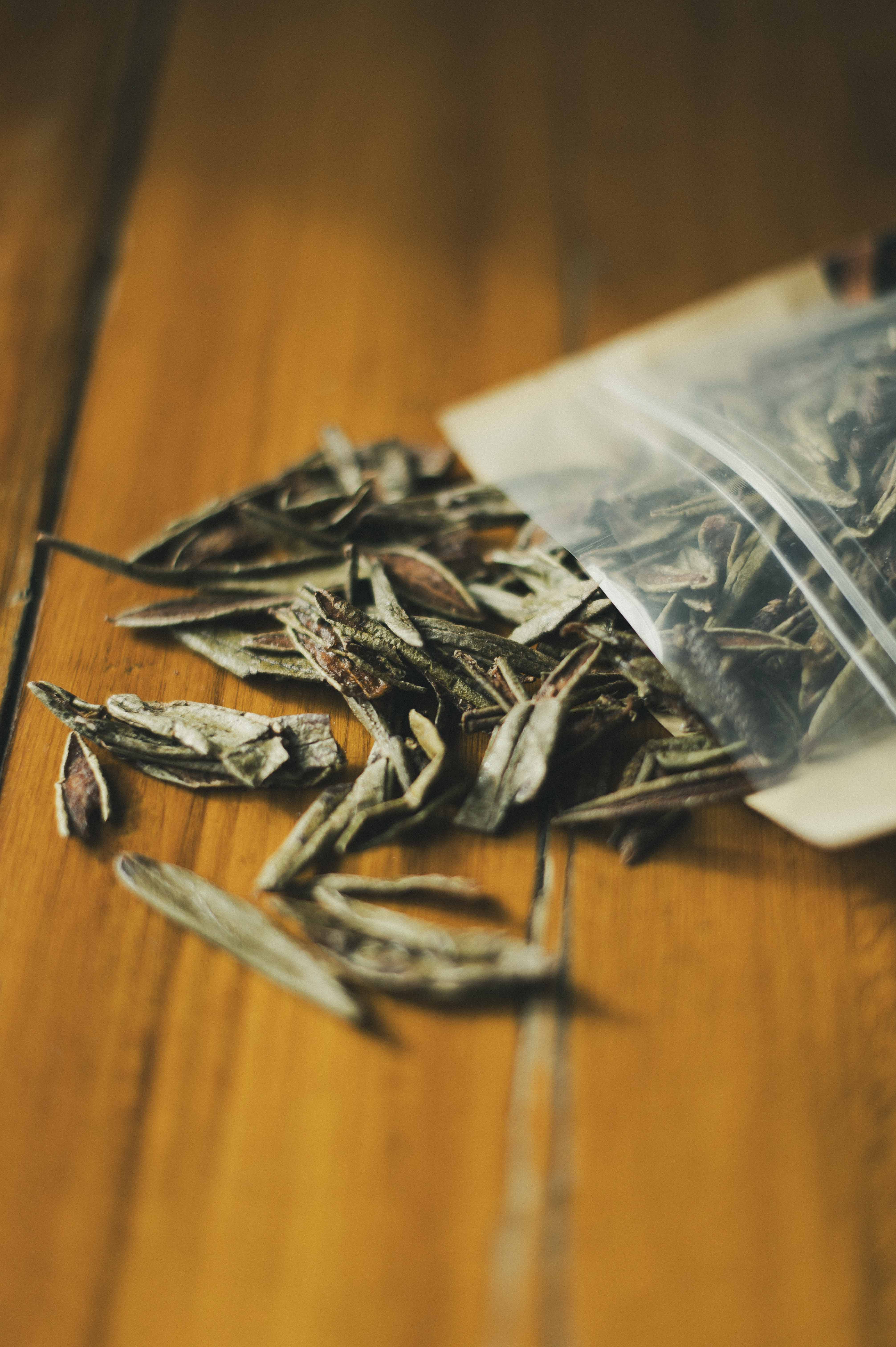 Tisane boréale à l'érable
