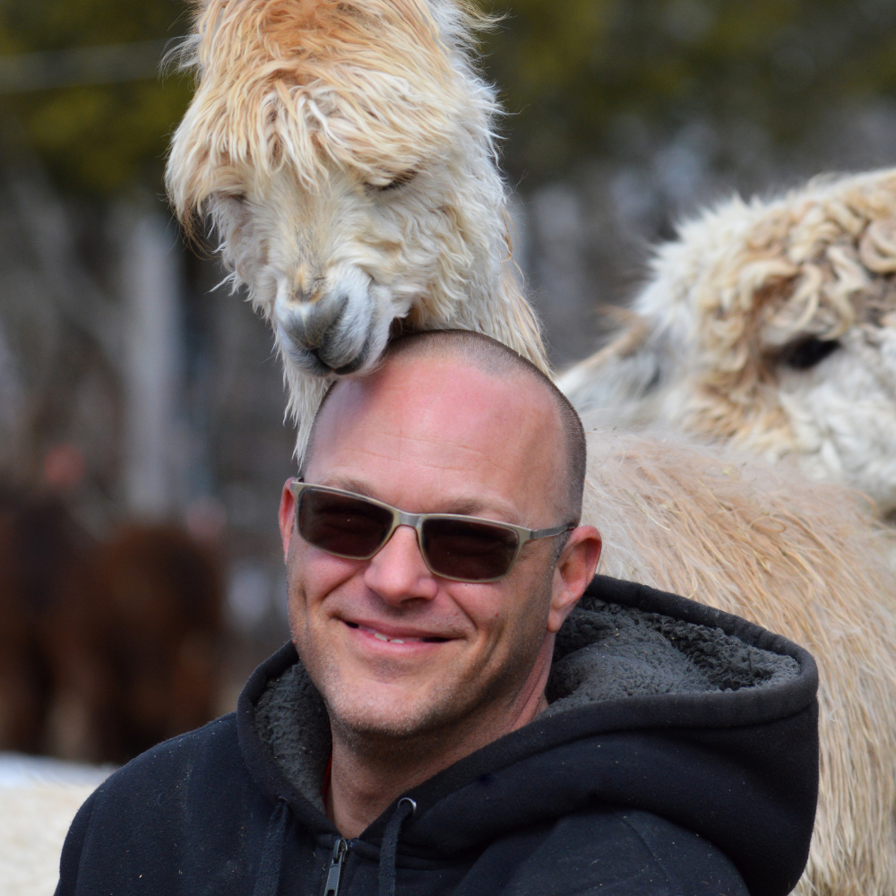 Alpaca walk for 4 people - Alpacas du Domaine Poissant