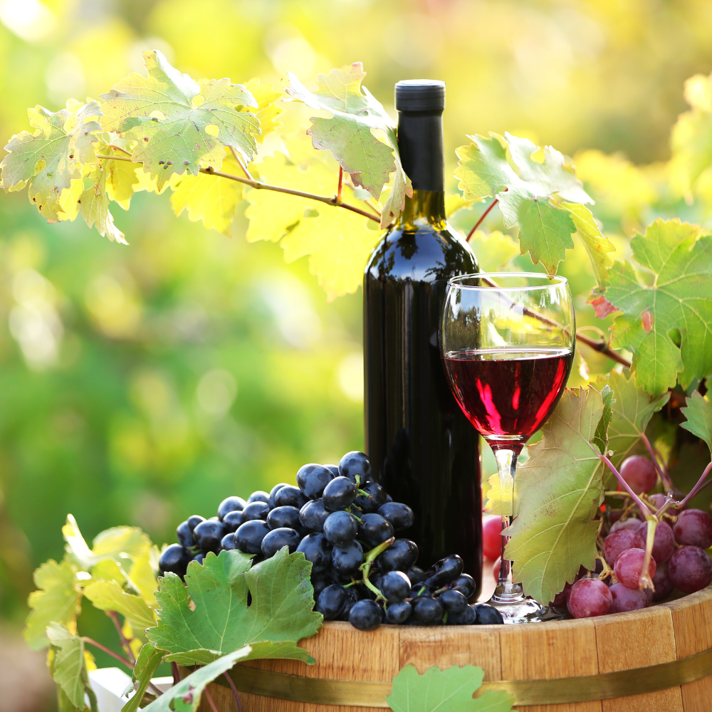 Training and tasting for 2 people - Wine Experience
