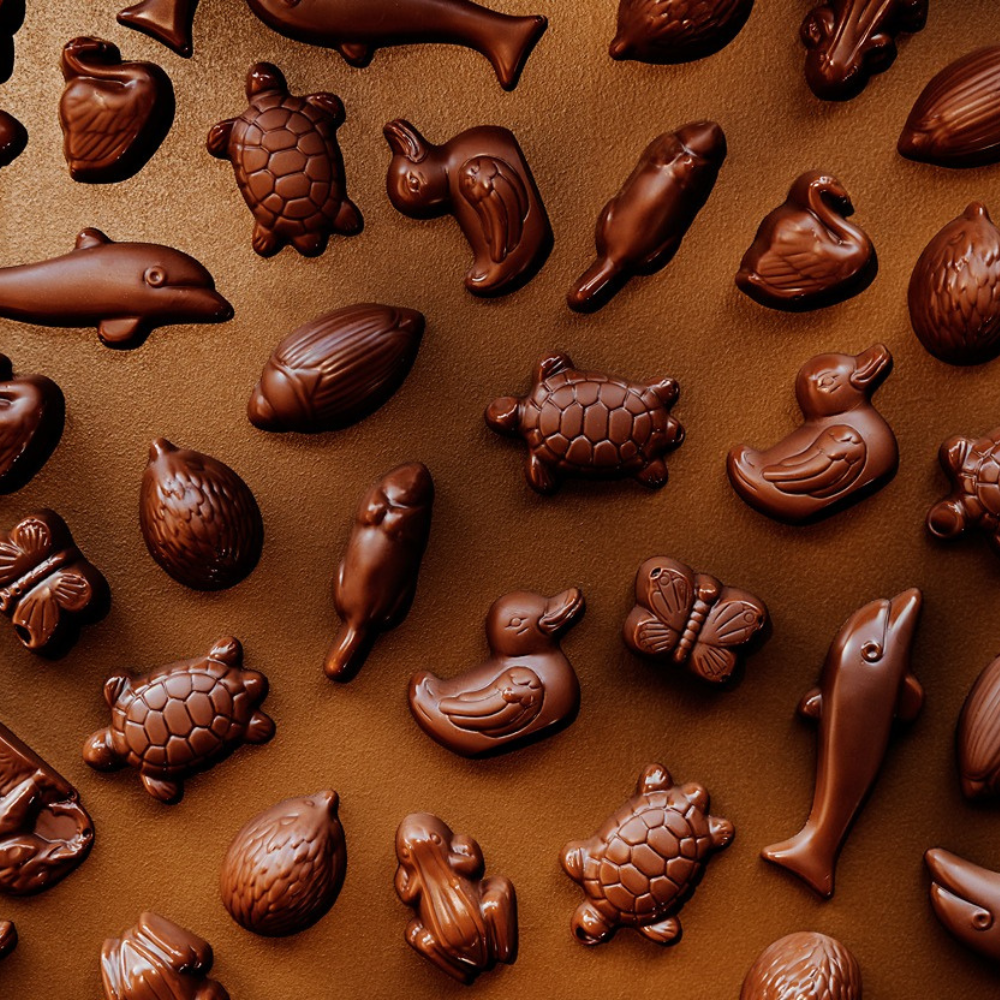 Chocolate spreads and bites for 1 to 2 people - Allo Simonne