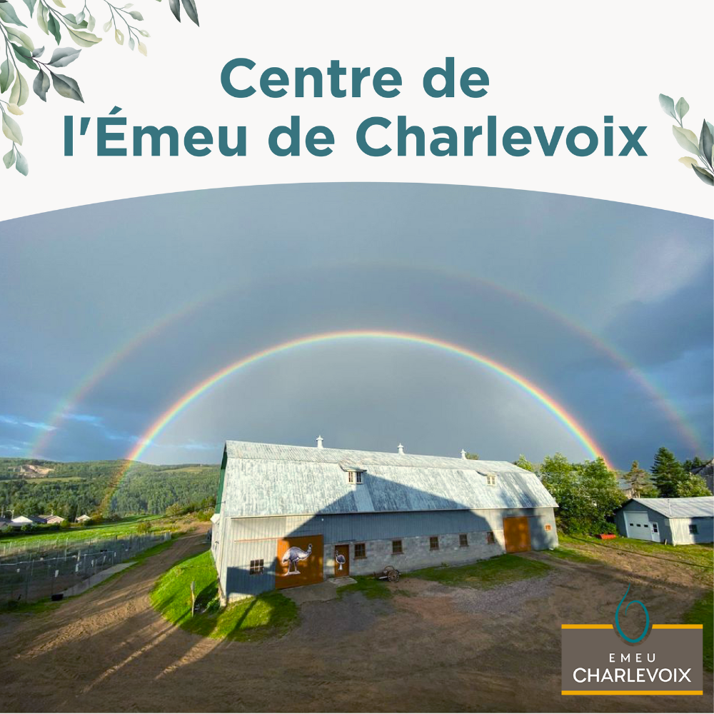 Visite, repas et vin pour 2 personnes - Centre de l'émeu de Charlevoix