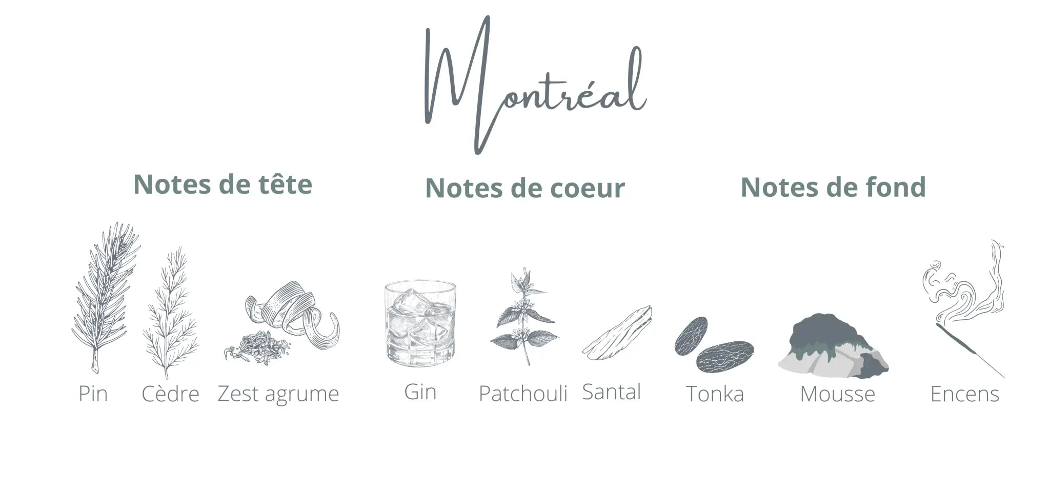 Montreal Refill | Gin + Spruce