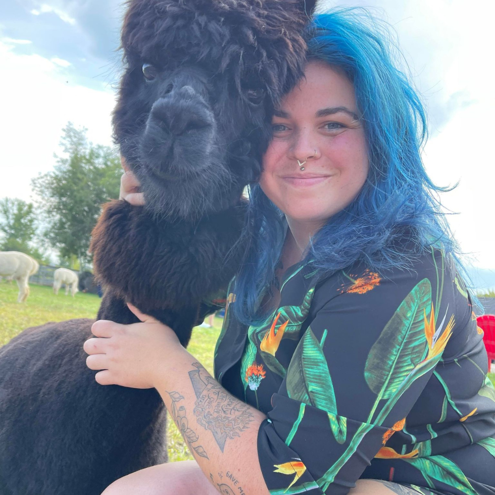 Free-Range Alpaca Watching for 2 People - La Casa d'Alpagas
