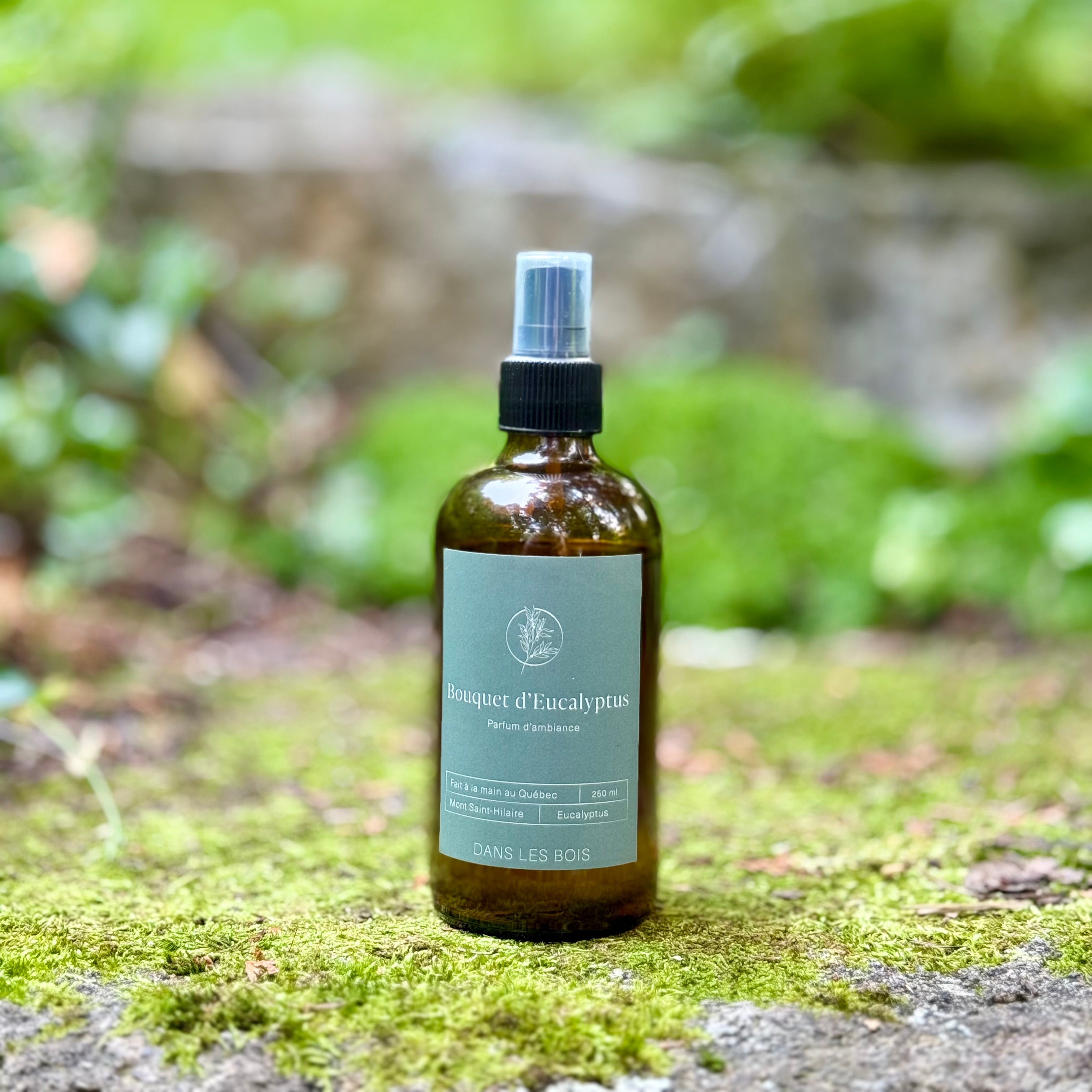 Parfum d'ambiance - Bouquet d'Eucalyptus