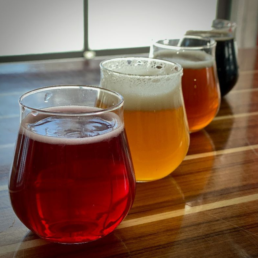 Dégustation de bières et plateau à partager - Microbrasserie Cardinal