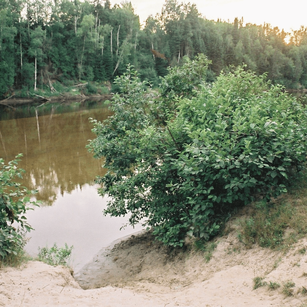 Canoe or kayak for 2 people - Camping and teepees Labelle and the Rouge