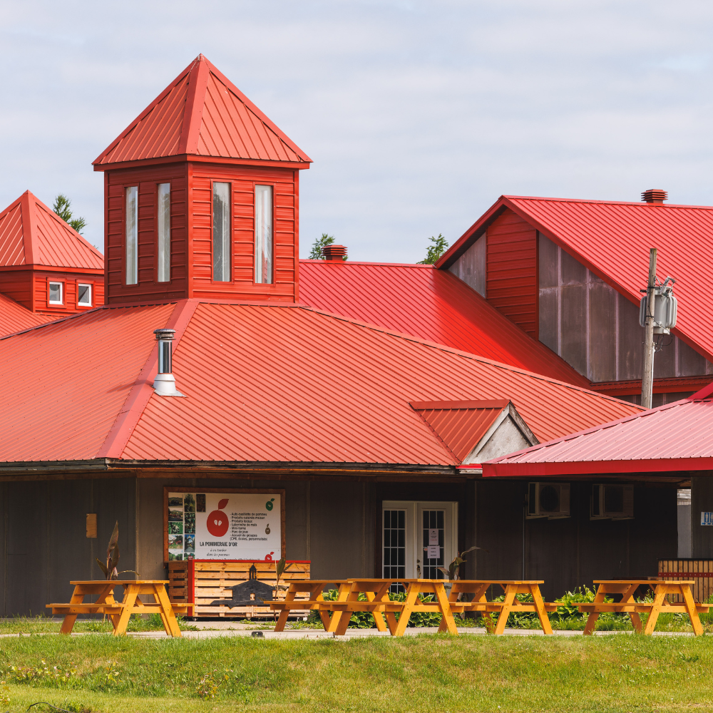 Wine and bottle tasting - Domaine de Lavoie - Vineyard and cider house