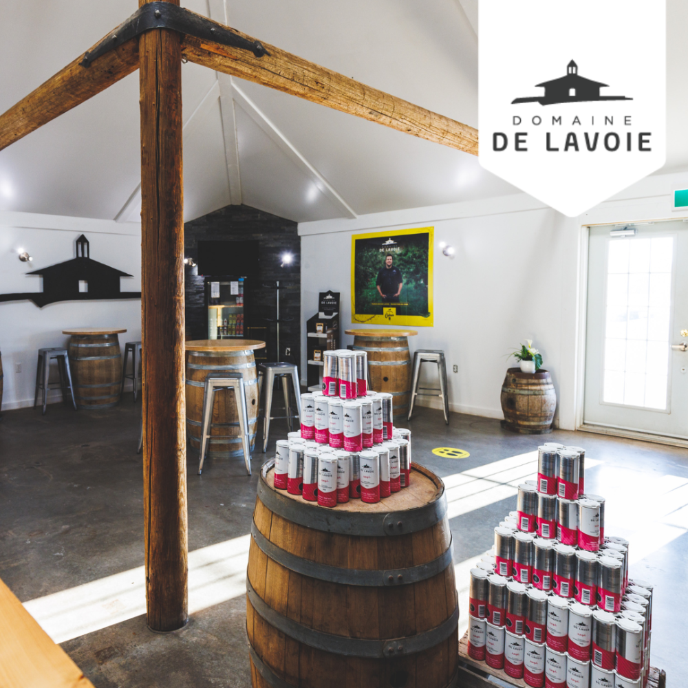 Wine and bottle tasting - Domaine de Lavoie - Vineyard and cider house