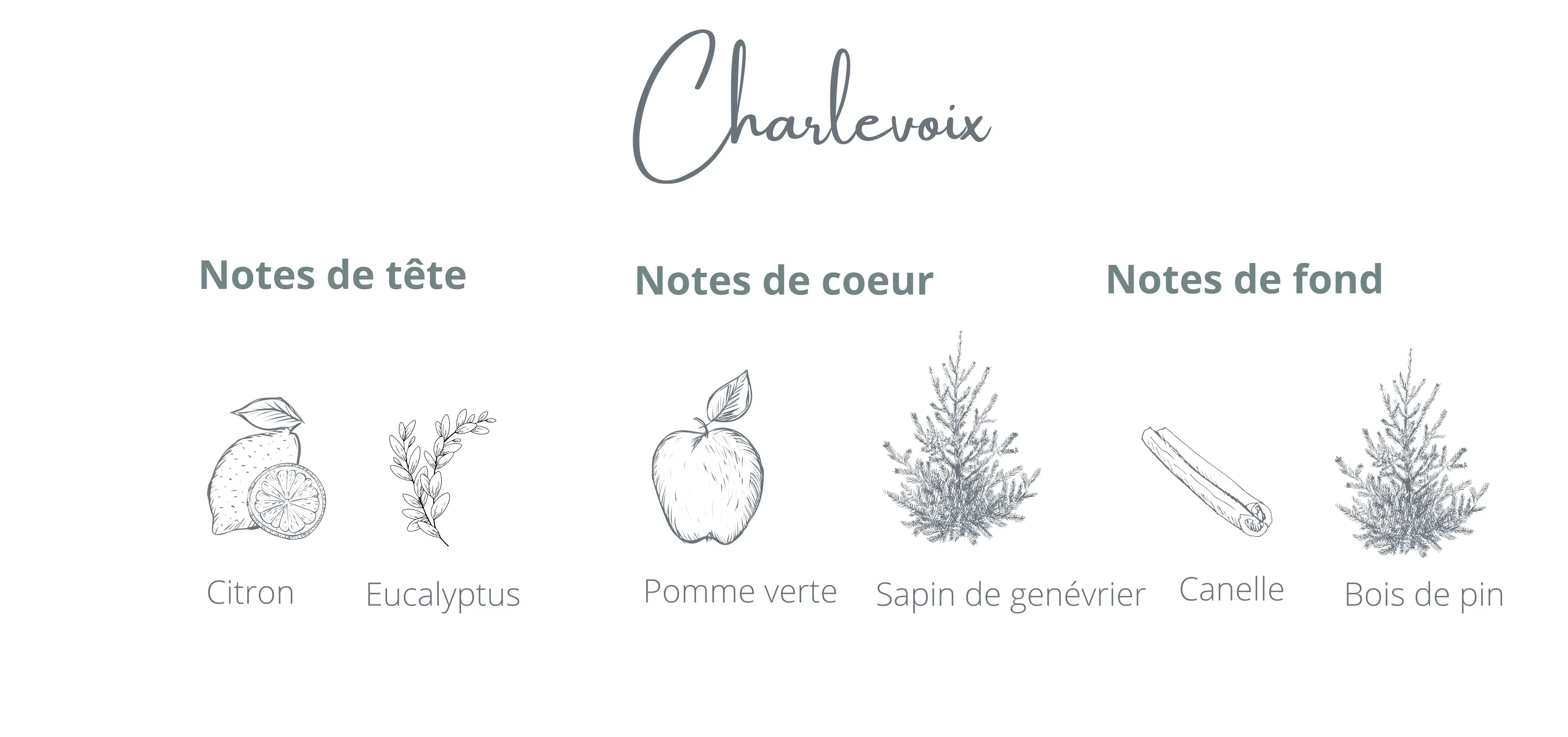 Charlevoix Refill | Fir Needle + Juniper
