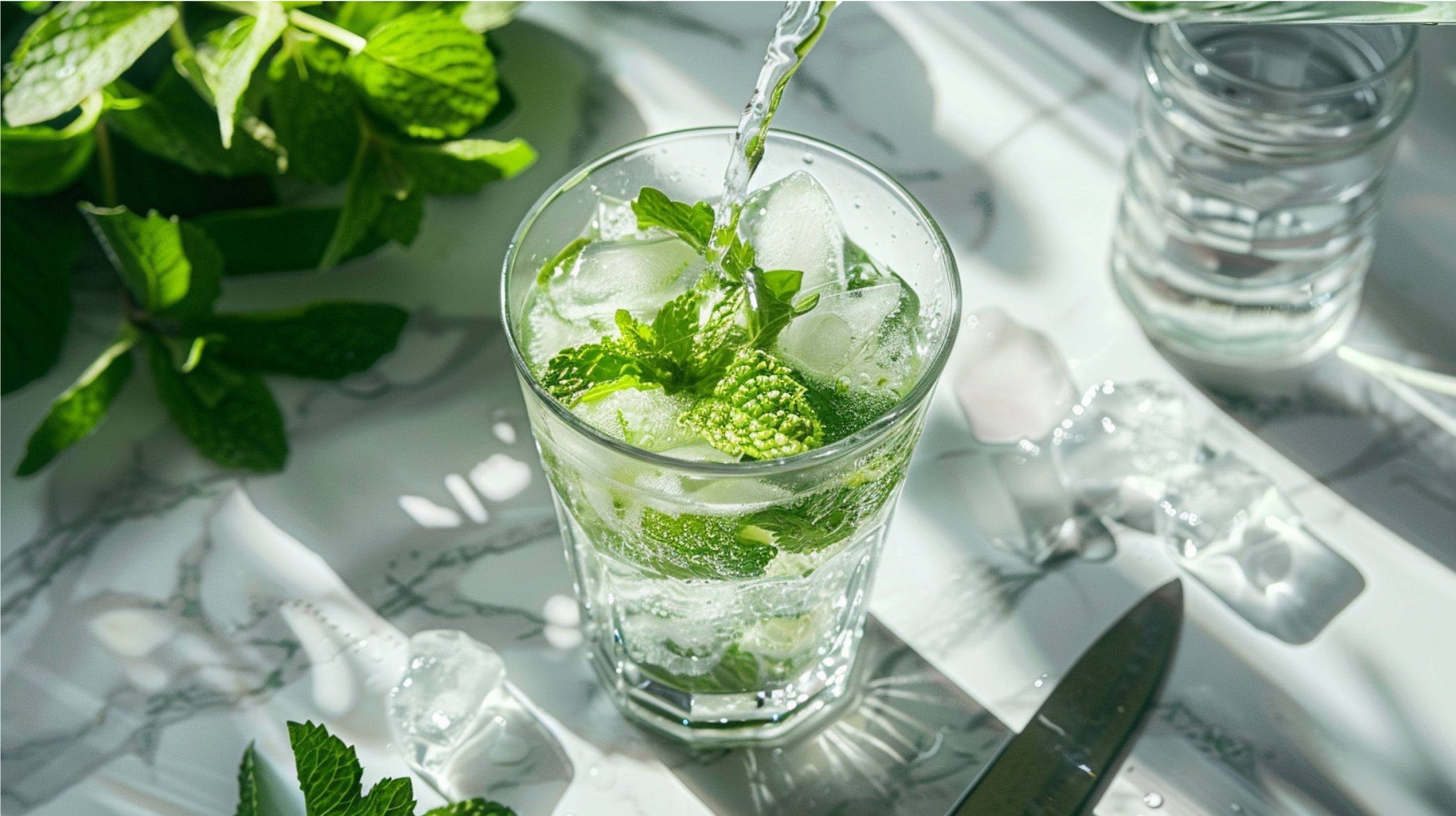 Mocktail - Mojito Fusion