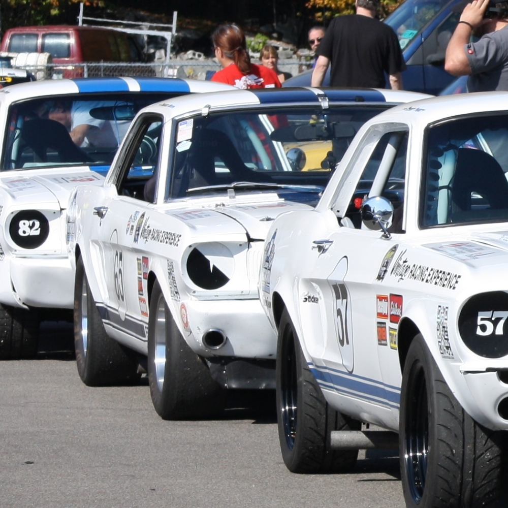 Pilotage d'une Mustang de course pour 1 personne - Course Vintage