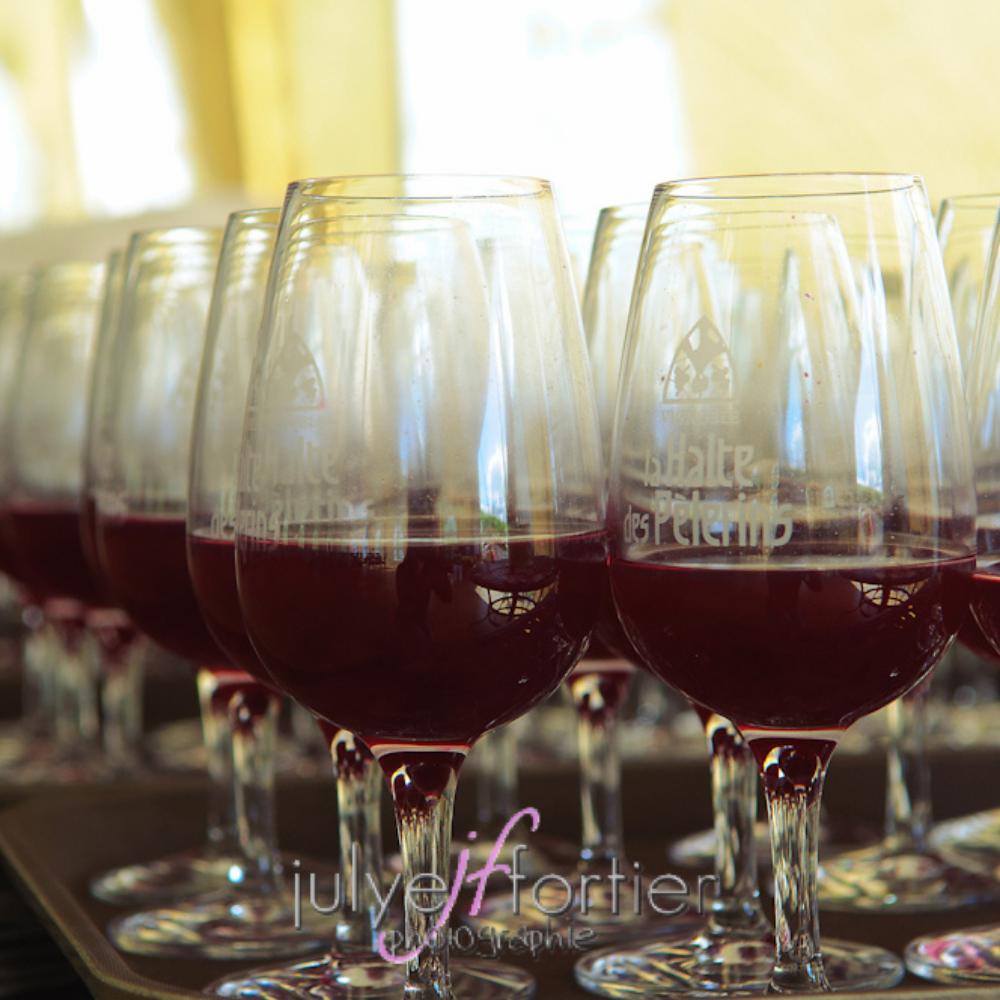 Wine tasting for 4 people - La Halte des Pèlerins Vineyard