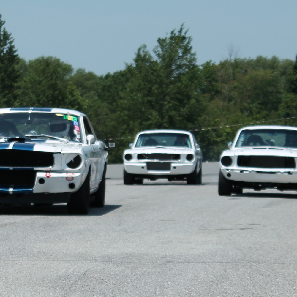 Pilotage d'une Mustang de course pour 1 personne - Course Vintage