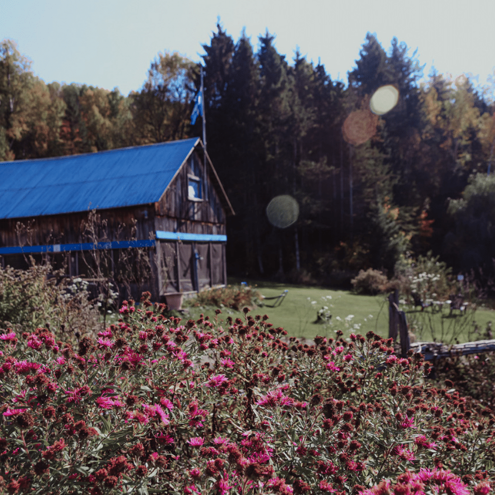 Overnight stay and treatment or overnight stay and meals for 1 person - Life center