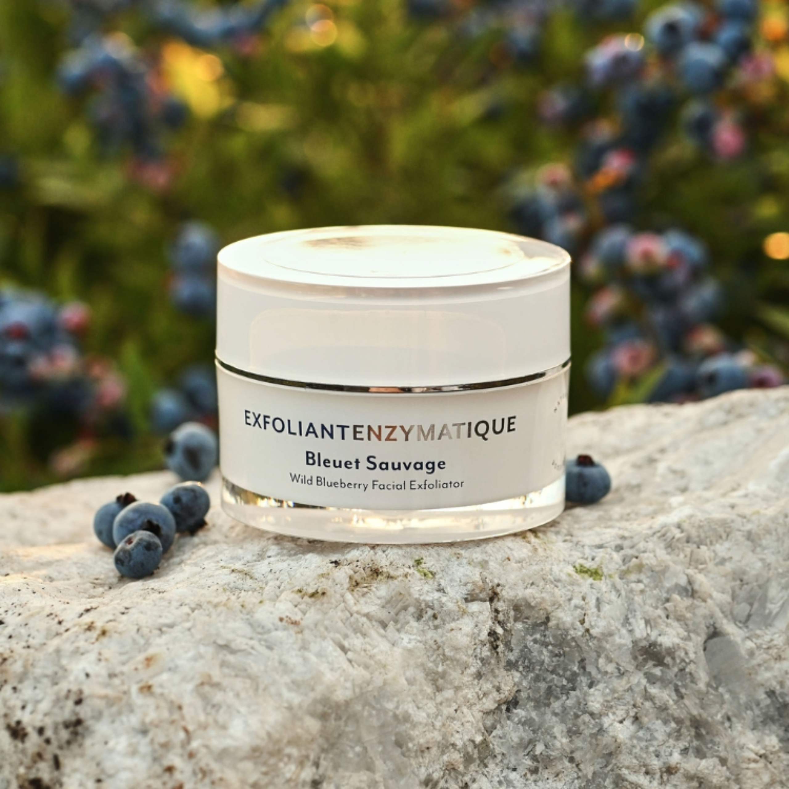 Exfoliant enzymatique aux bleuets sauvages