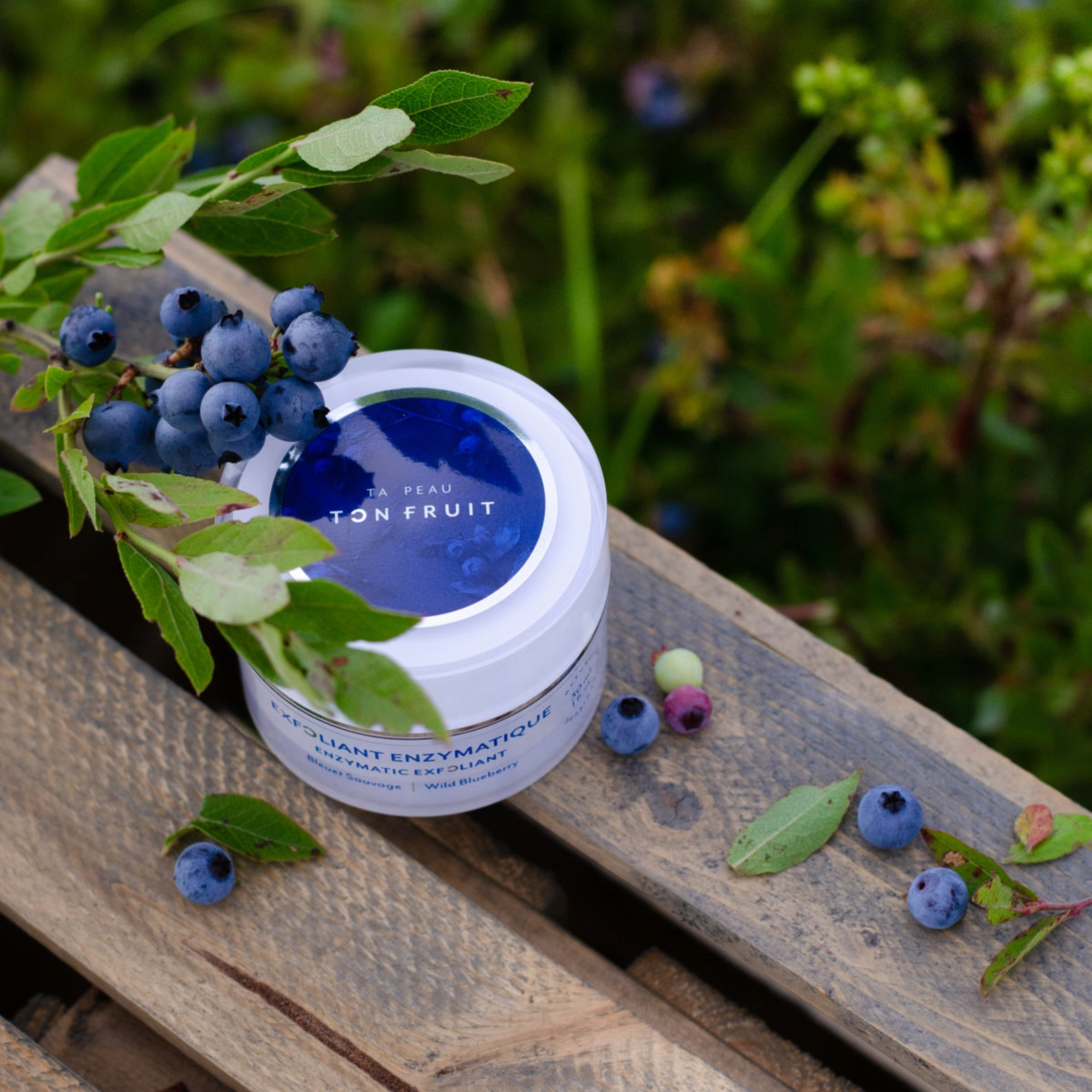 Exfoliant enzymatique aux bleuets sauvages