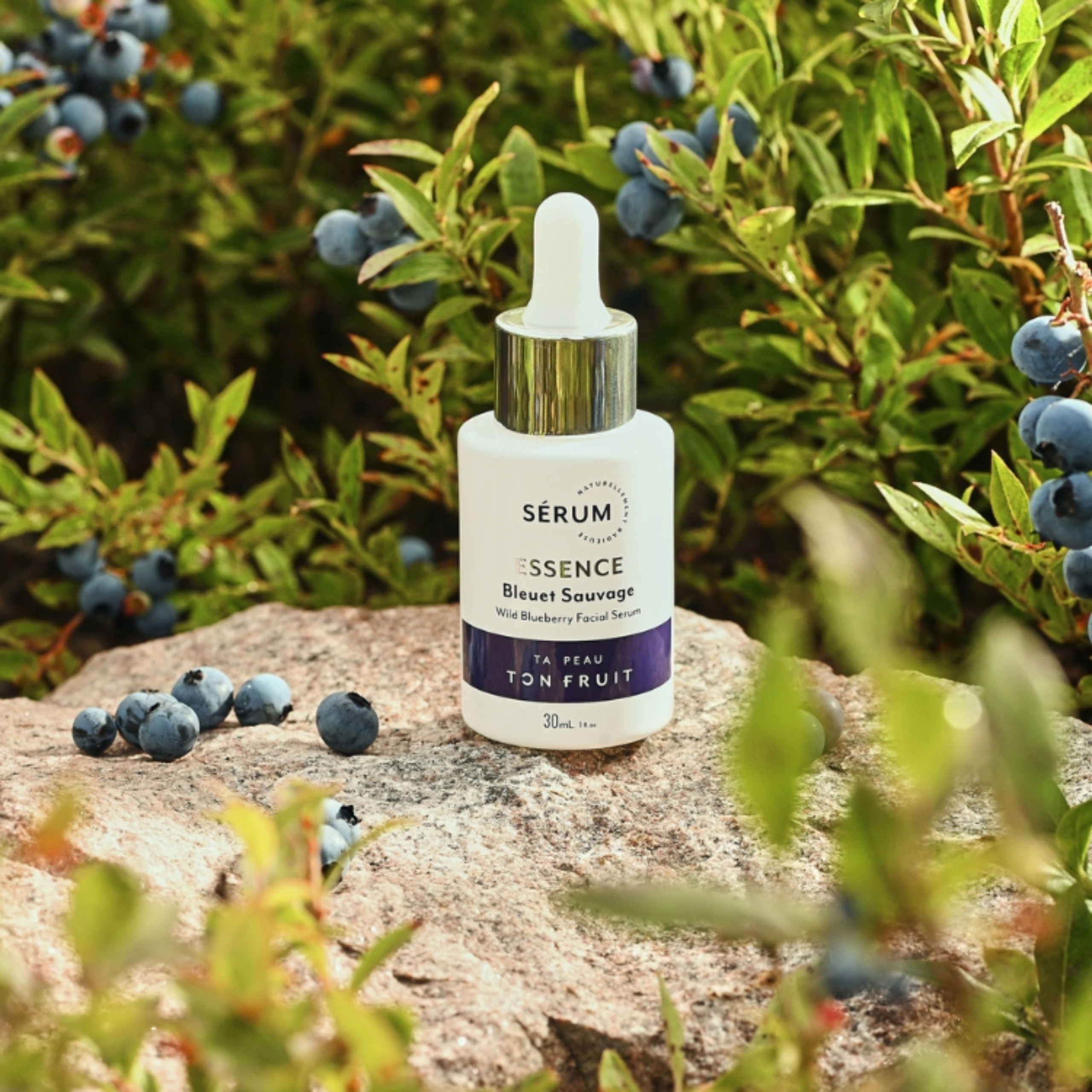 Sérum essence aux bleuets sauvages