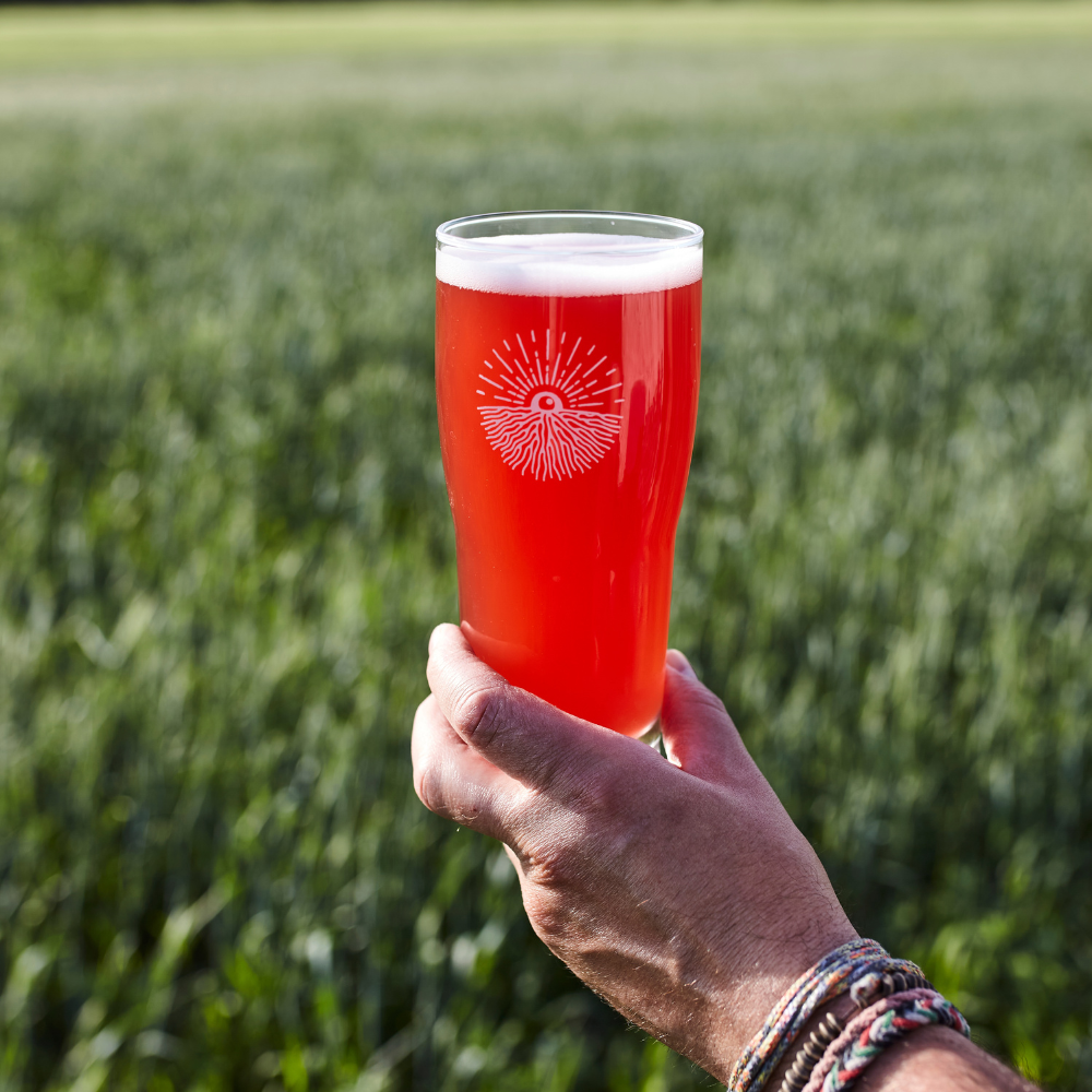 Dégustation de bières et spiritueux pour 2 personnes - Terre à boire