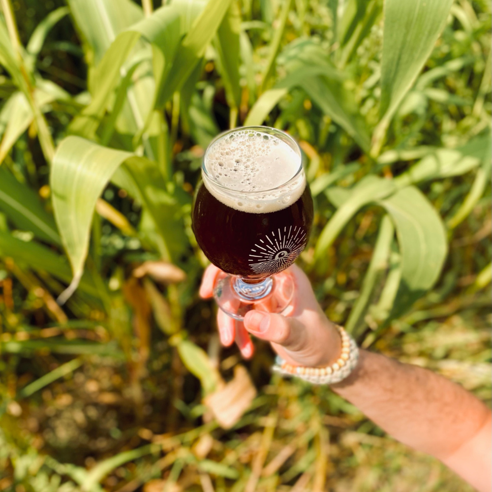 Beer and Spirits Tasting for 2 People - Terre à boire