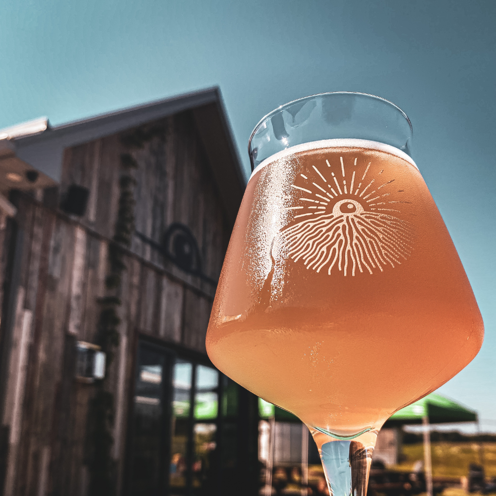 Beer and Spirits Tasting for 2 People - Terre à boire