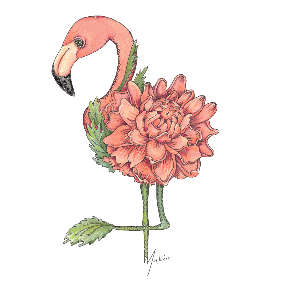 Carte de souhaits - Flamant fleur