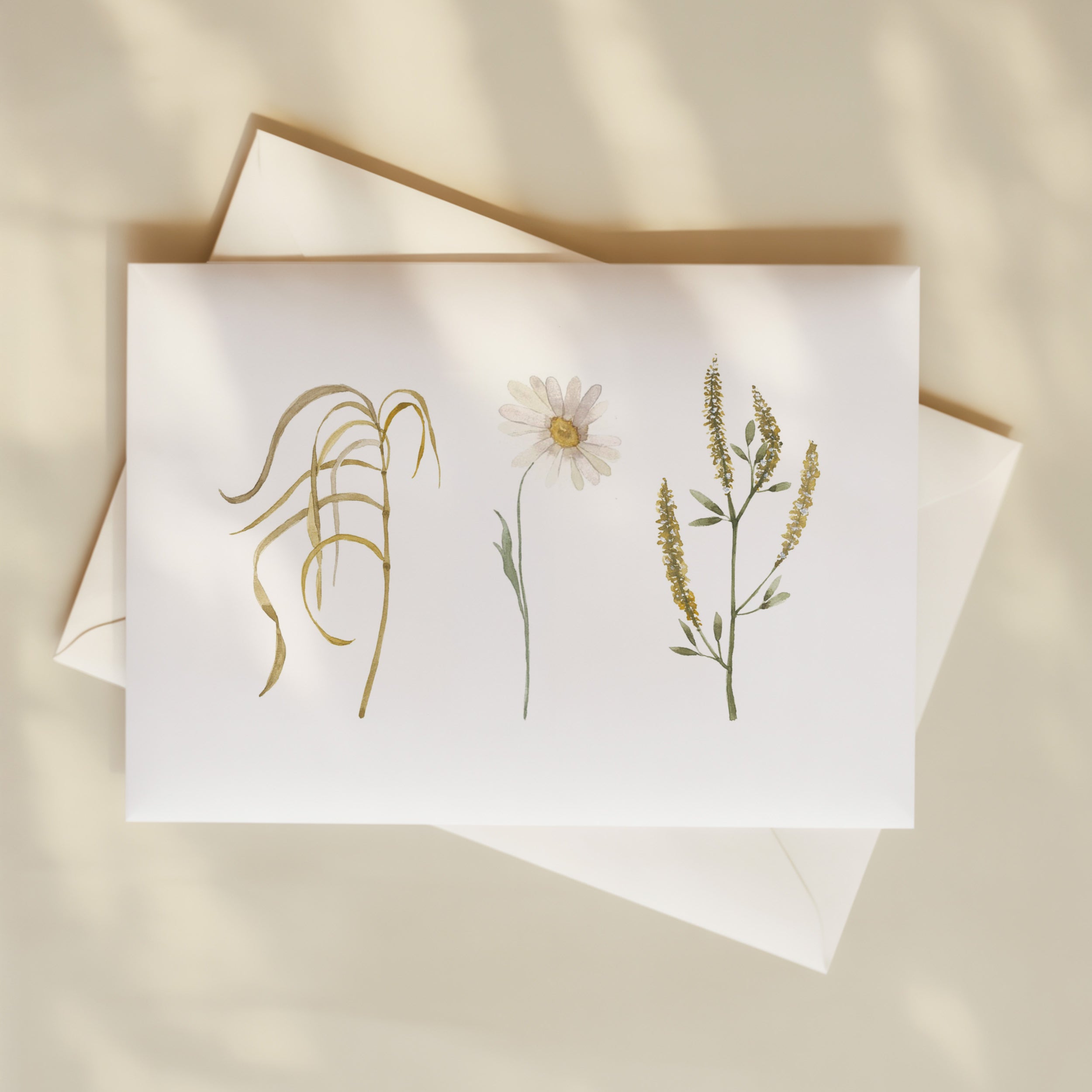 Greeting Card - Wildflowers