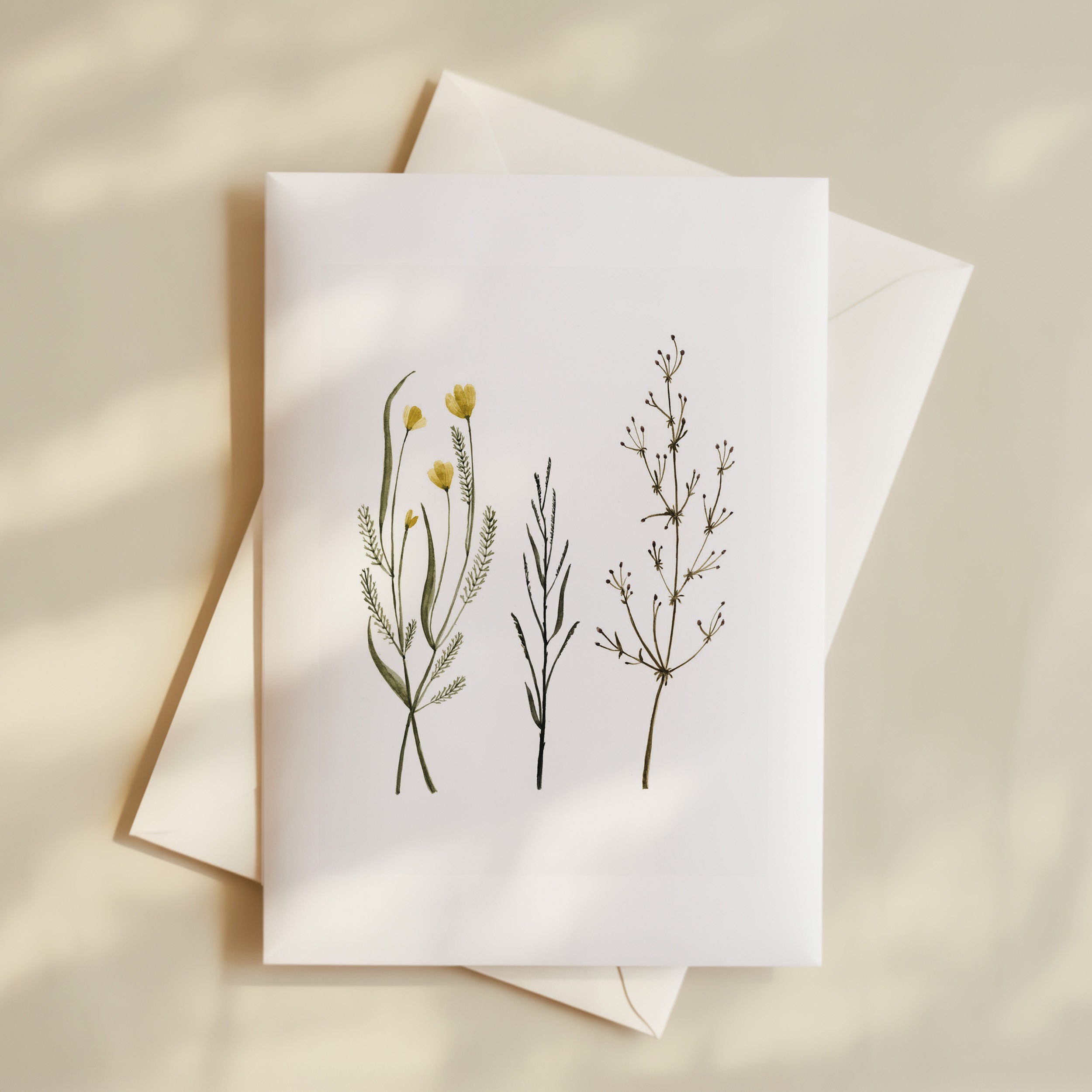 Greeting Card - Field Herbs