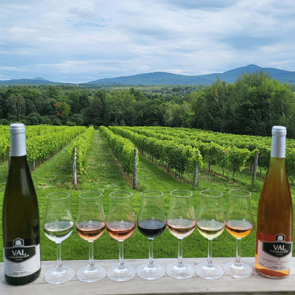 Dégustation de vins et cidres pour 2 personnes - Val Caudalies Vignoble et cidrerie
