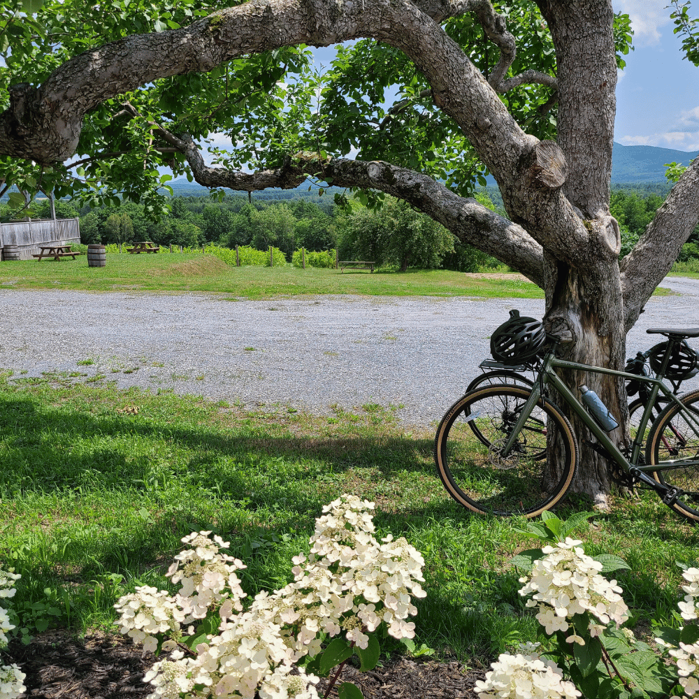 Tasting for 2 people - Val Caudalies Vineyard and Cider House