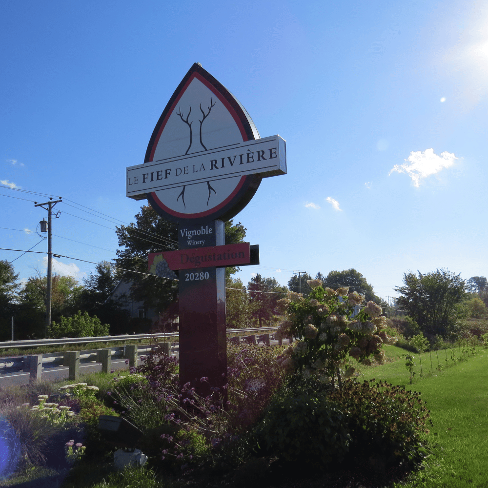 Tasting and tour for 4 people - Le Fief de la Rivière vineyard