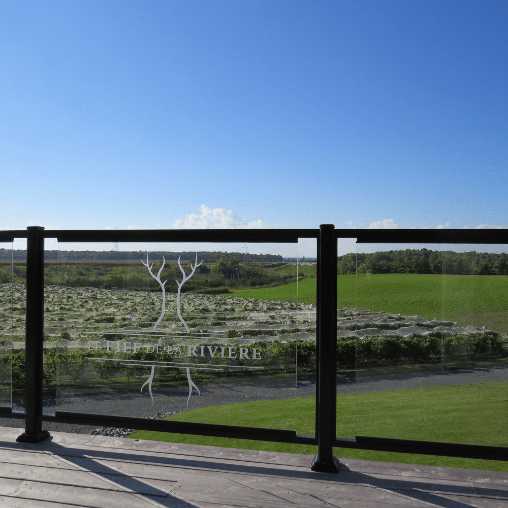 Tasting and tour for 4 people - Le Fief de la Rivière vineyard