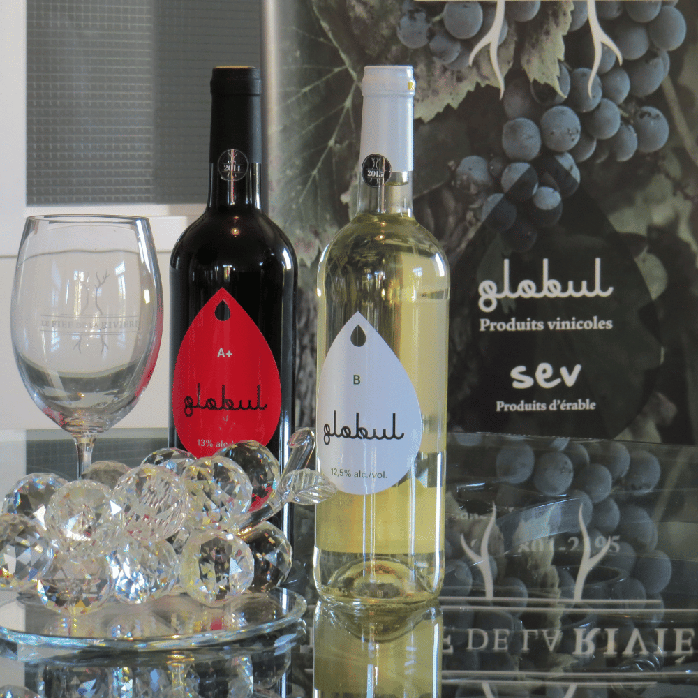 Tasting and tour for 4 people - Le Fief de la Rivière vineyard