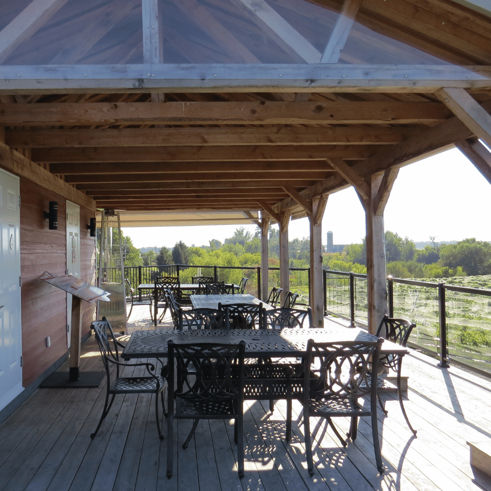 Tasting and tour for 4 people - Le Fief de la Rivière vineyard