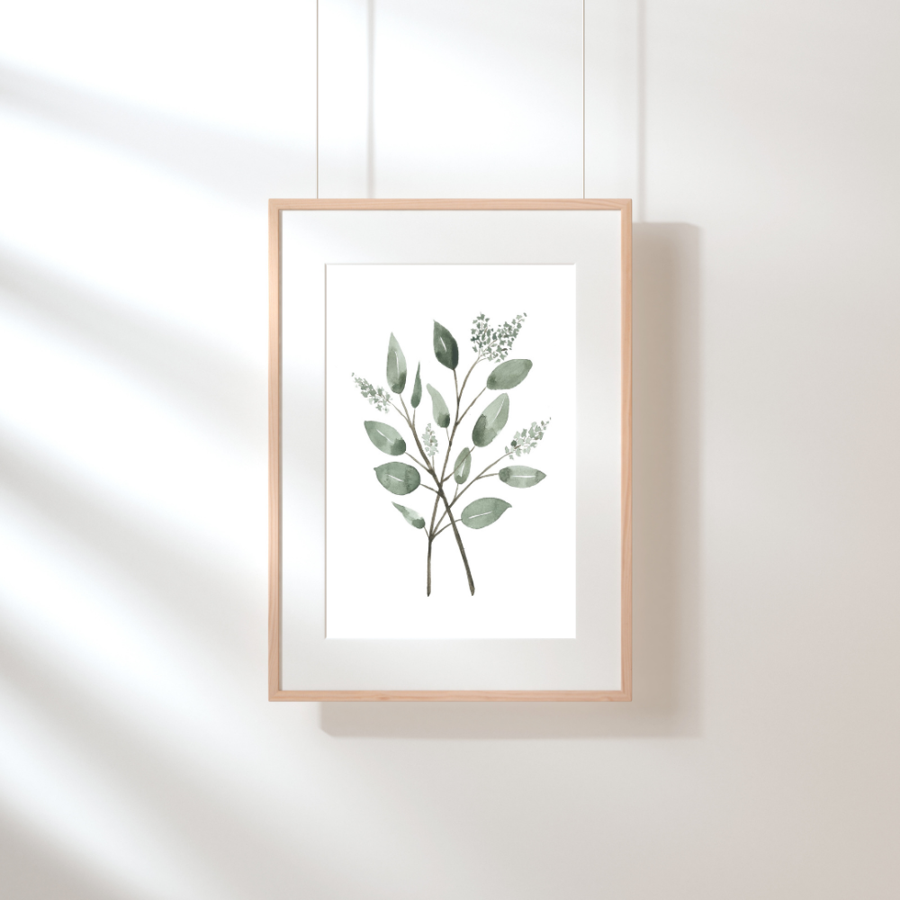 Aquarelle imprimée - Eucalyptus