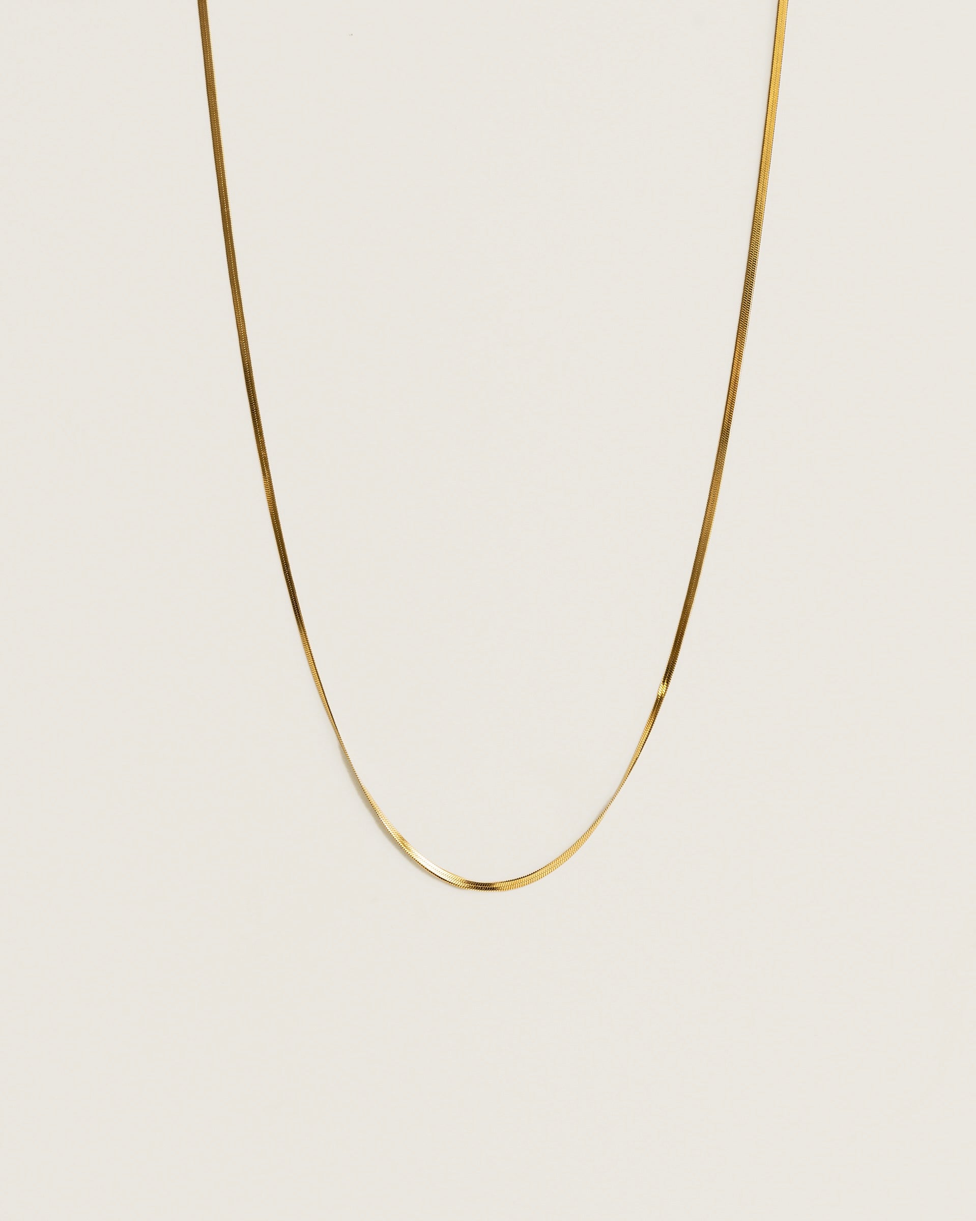 Collier Dainty Snake