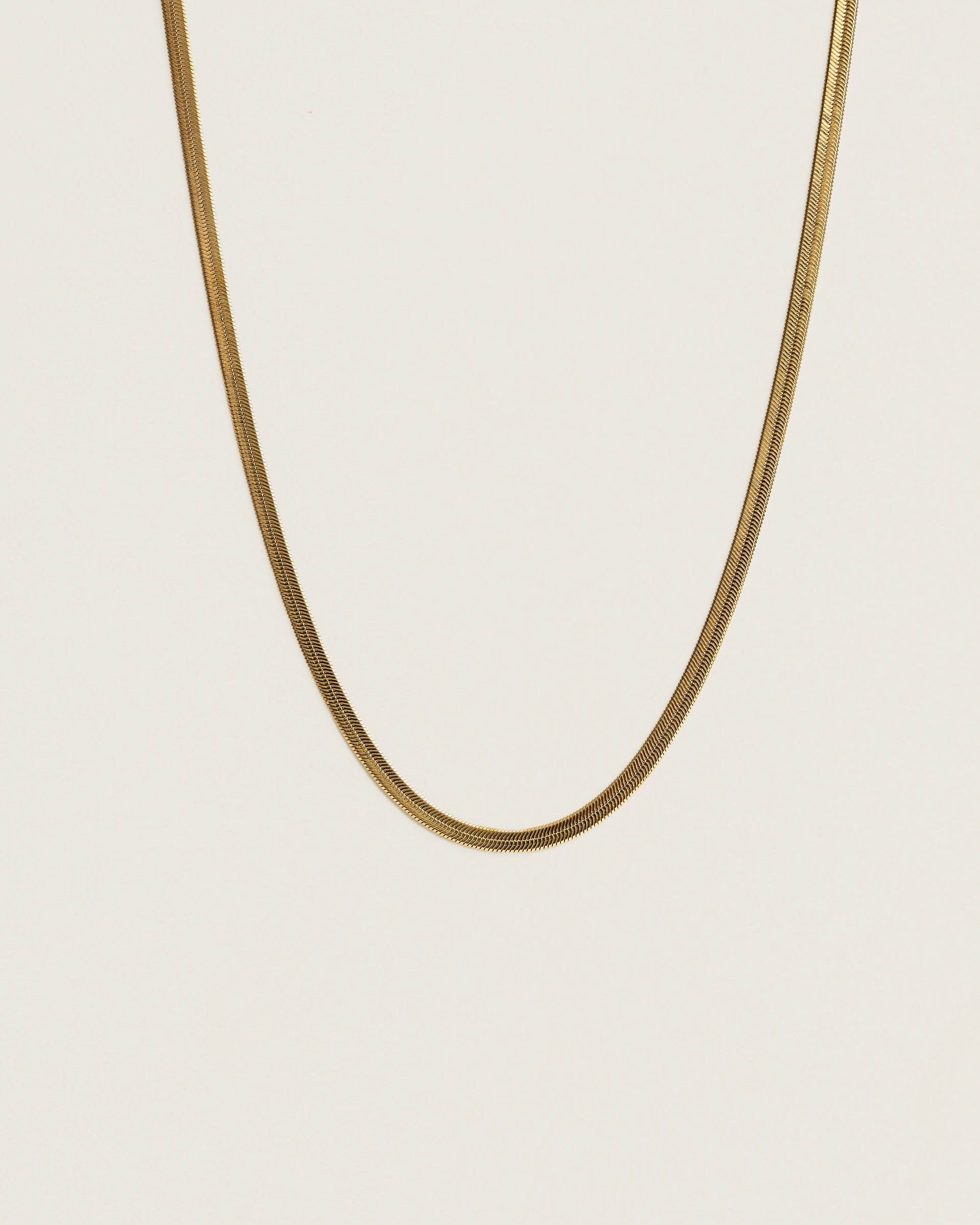 Collier snake
