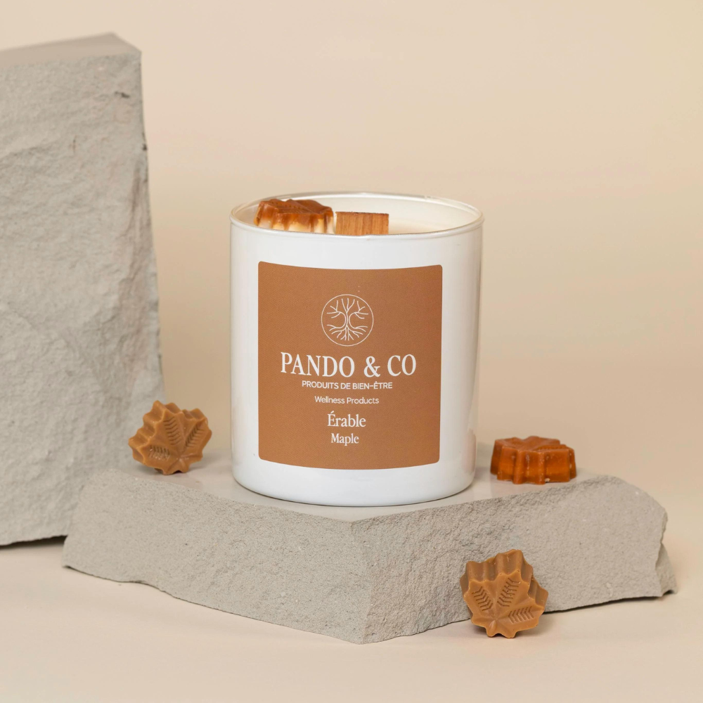 Bougie - Érable