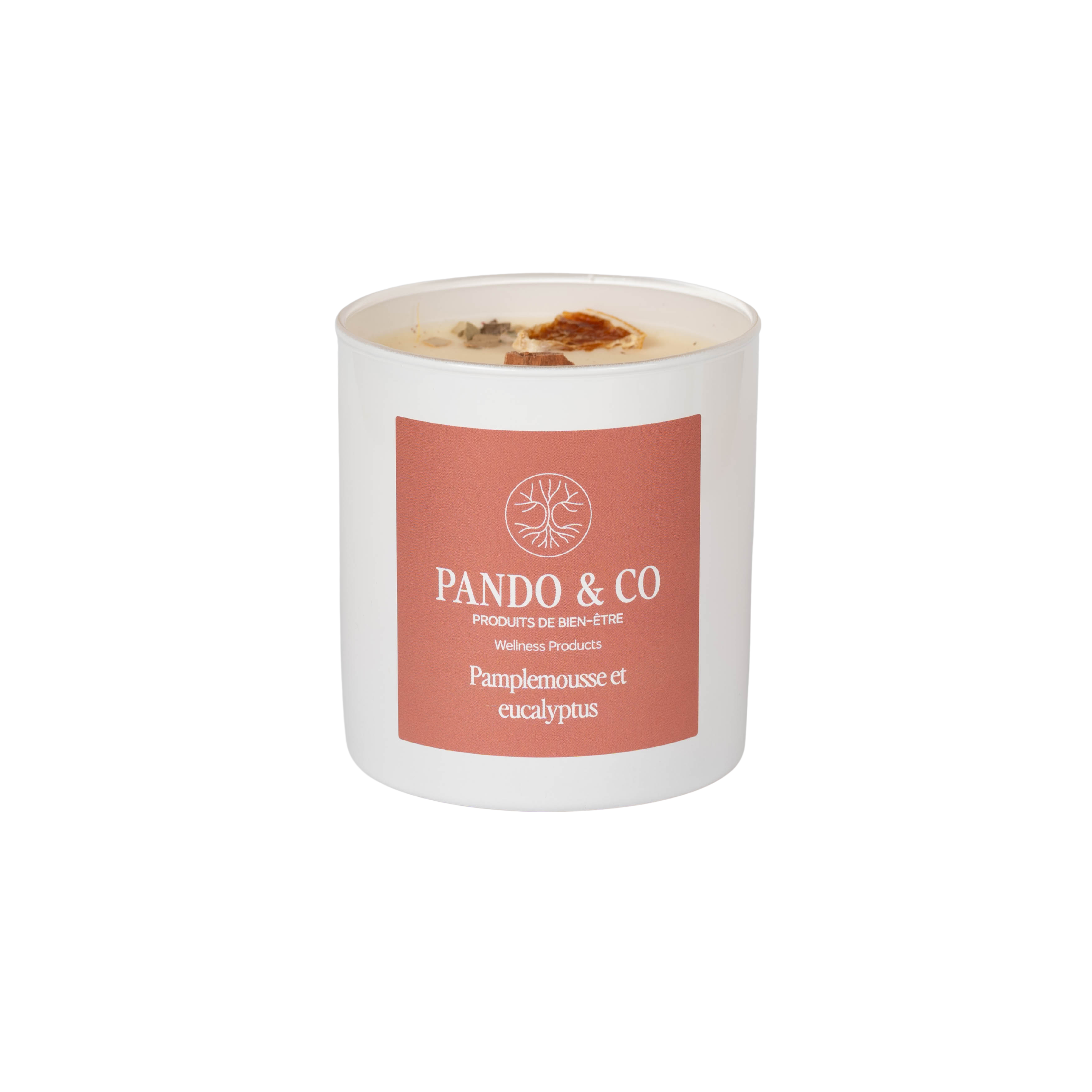 Bougie - Pamplemousse & eucalyptus