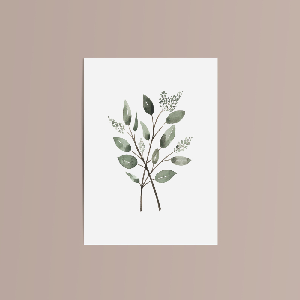 Carte de souhaits - Eucalyptus