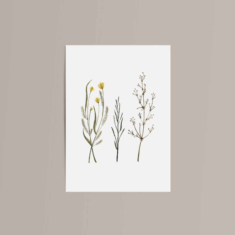 Carte de souhaits - Herbes des champs