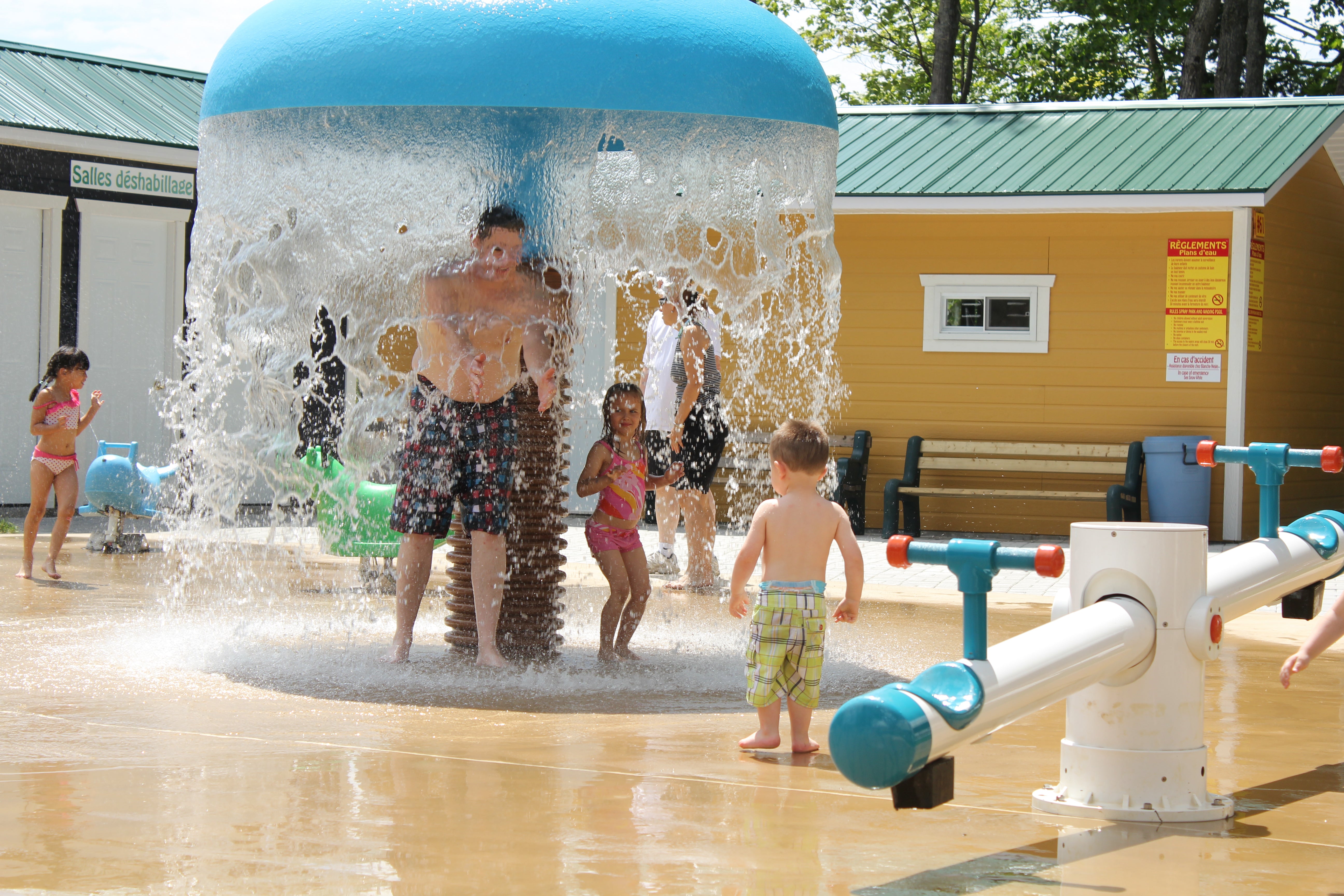 Family Activity Day for 4 - Wonderland