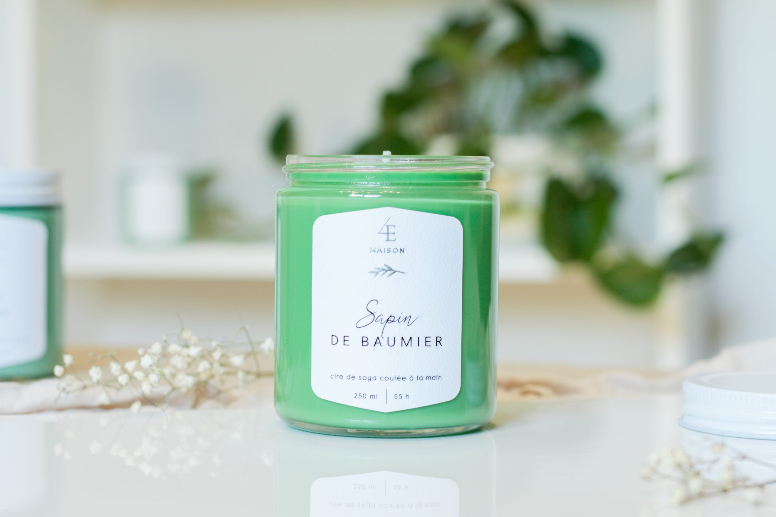 Chandelle - Sapin baumier