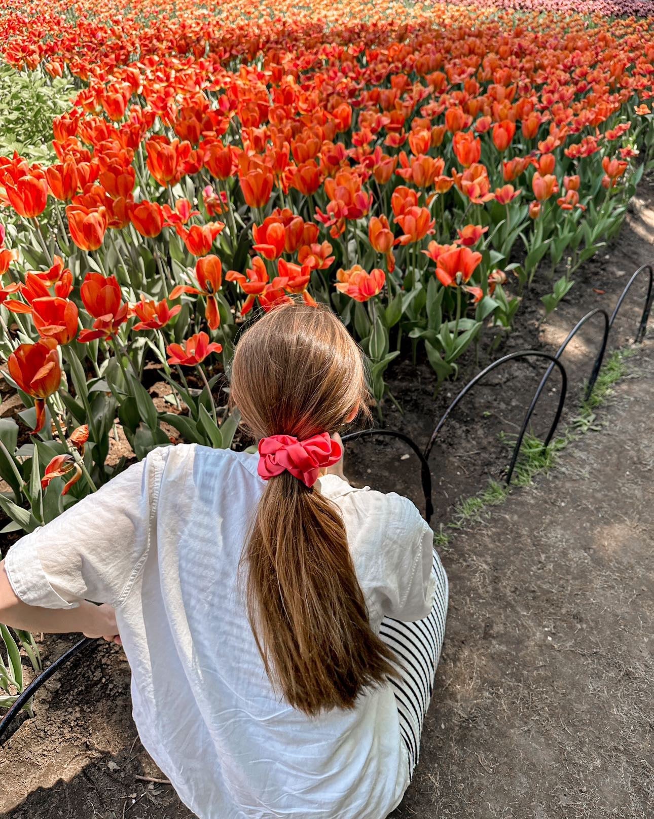 Chouchou large en satin certifié