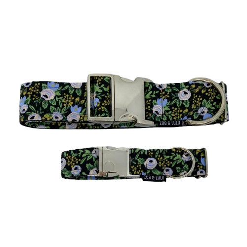 Collier pour chien - Bordeaux