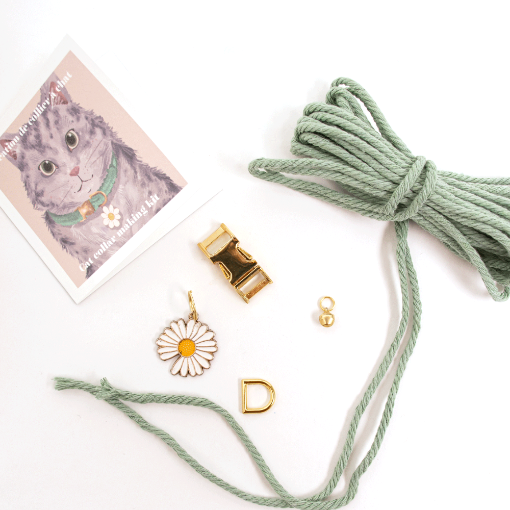 Ensemble de fabrication de collier pour chat | Choisissez votre couleur