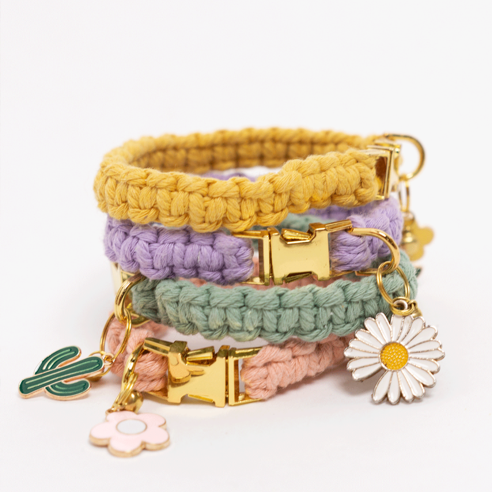 Ensemble de fabrication de collier pour chat | Choisissez votre couleur