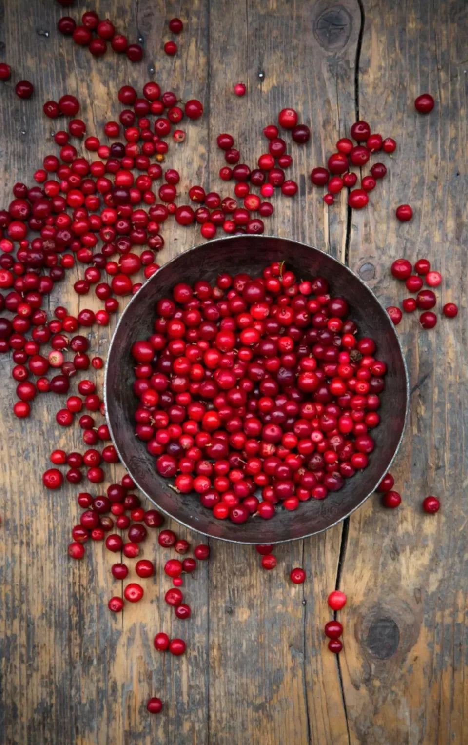 Confiture d'airelles