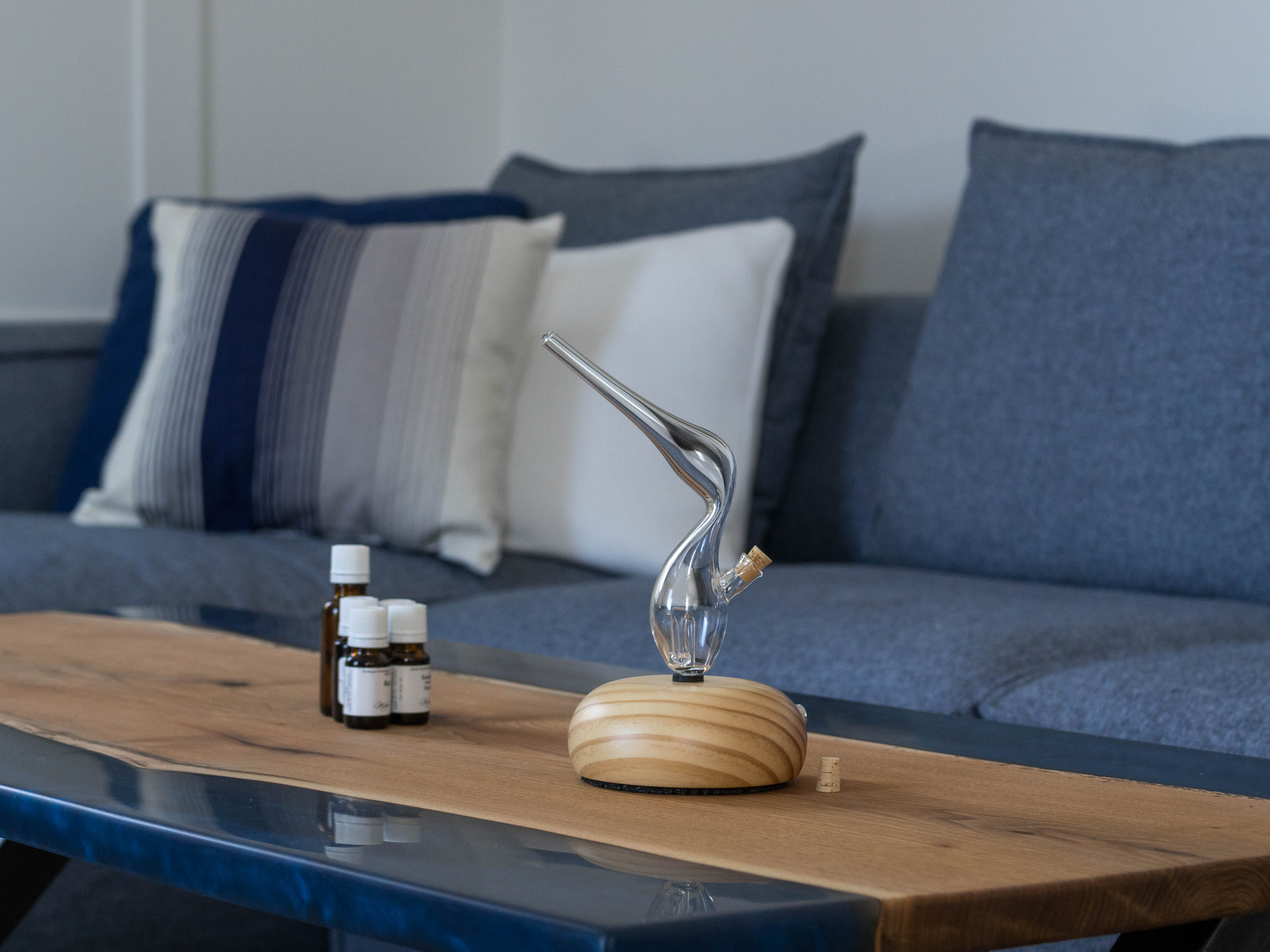 Diffuseur à huiles essentielles - Diffusaroma colibri transparent