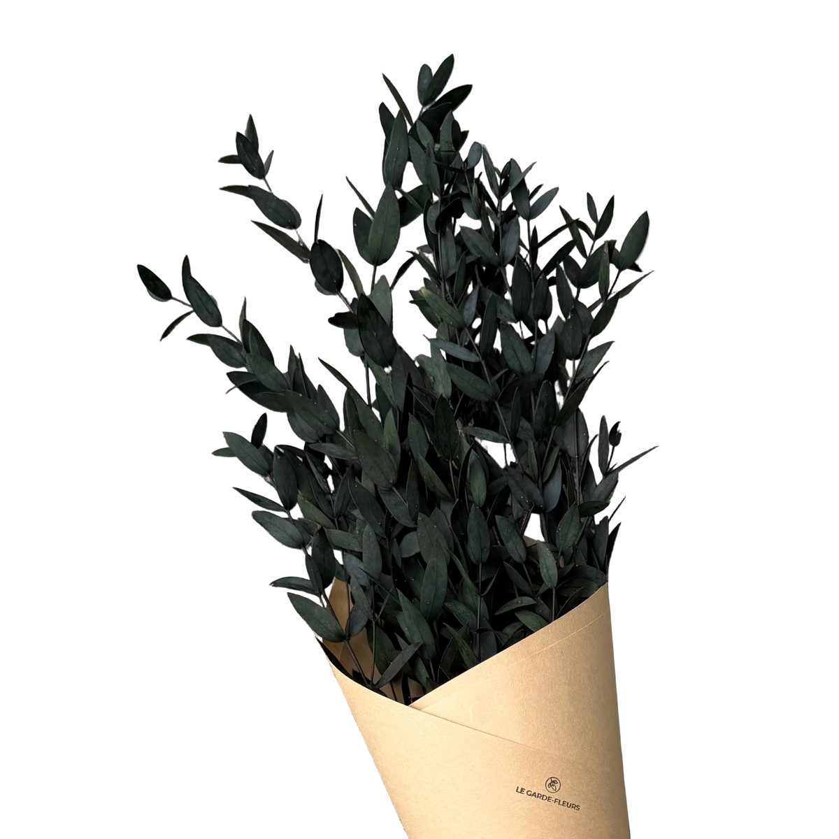 Eucalyptus parvifolia